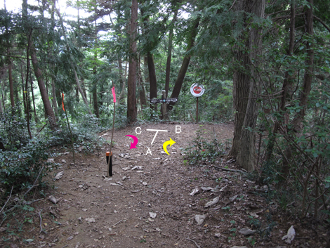 20161007hike (128)